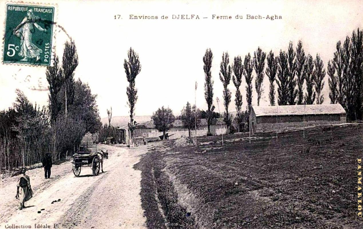 Djelfa - Ferme du Bach-Agha.jpg